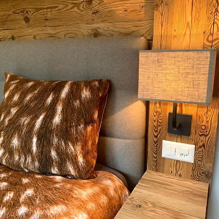 Appartement Ultra Luxurious 2-family On The Slopes In Arosa, Ch